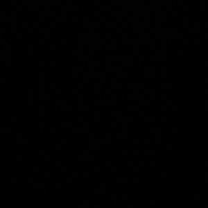 Meet your Posher, Gavin